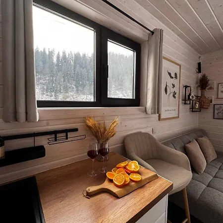 Element House Karpaty * Krivorovnya