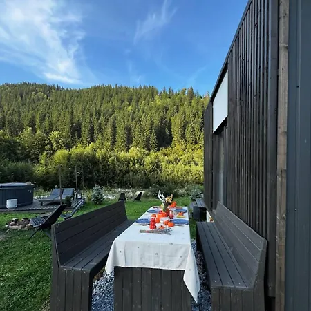 Element House Karpaty Krivorovnya