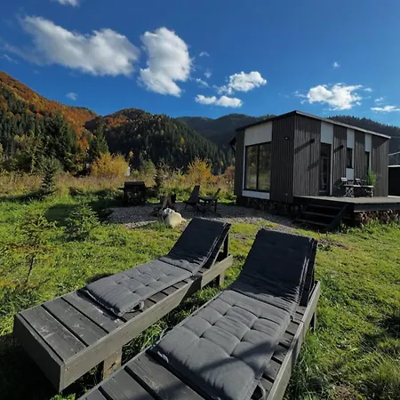 Element House Karpaty Krivorovnya