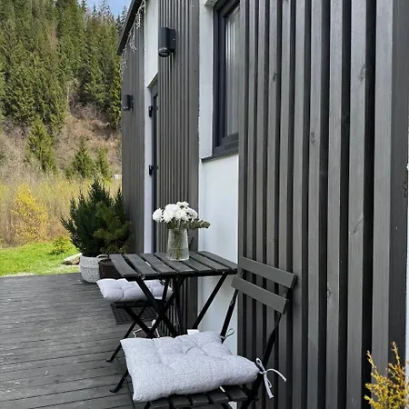Element House Karpaty * Krivorovnya