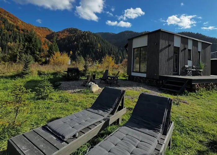 Element House Karpaty Krivorovnya