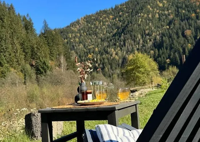 Element House Karpaty Tatil Evi *